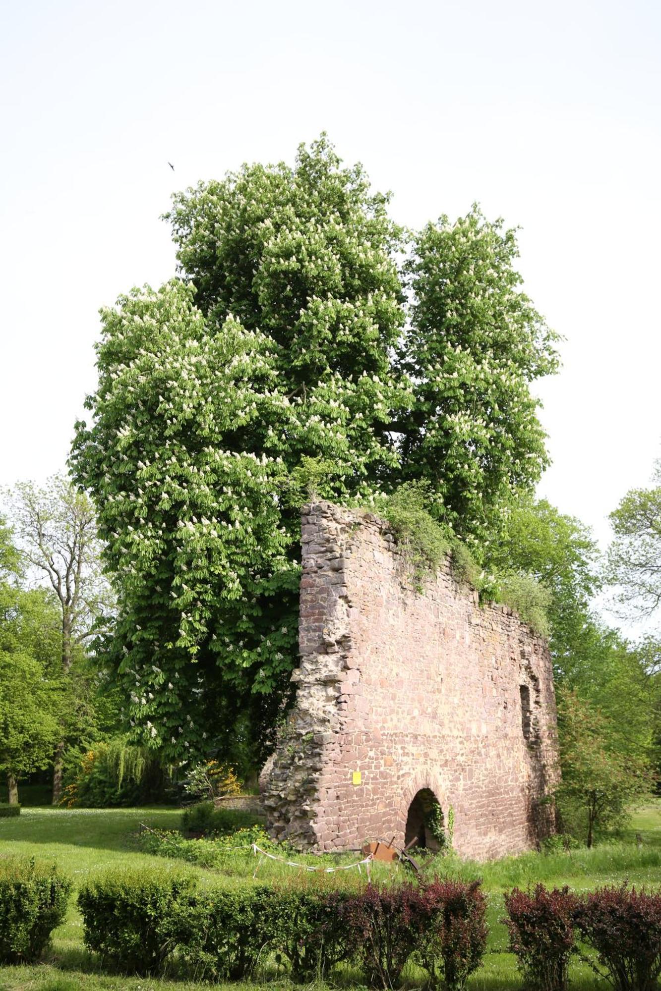 Veltheimsburg