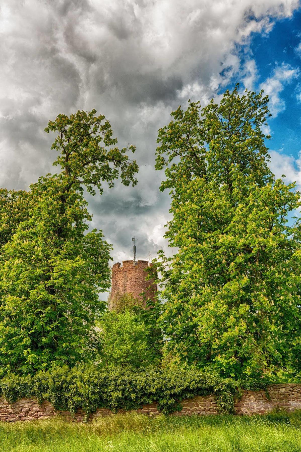 Veltheimsburg 3*